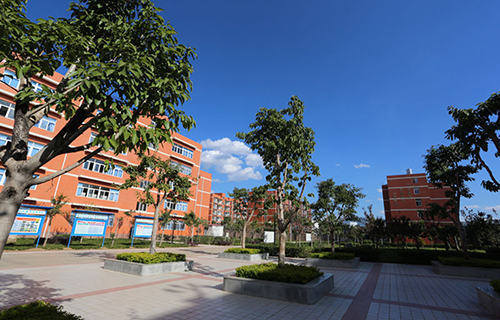 黑龙江护理高等专科学校2022年招生章程